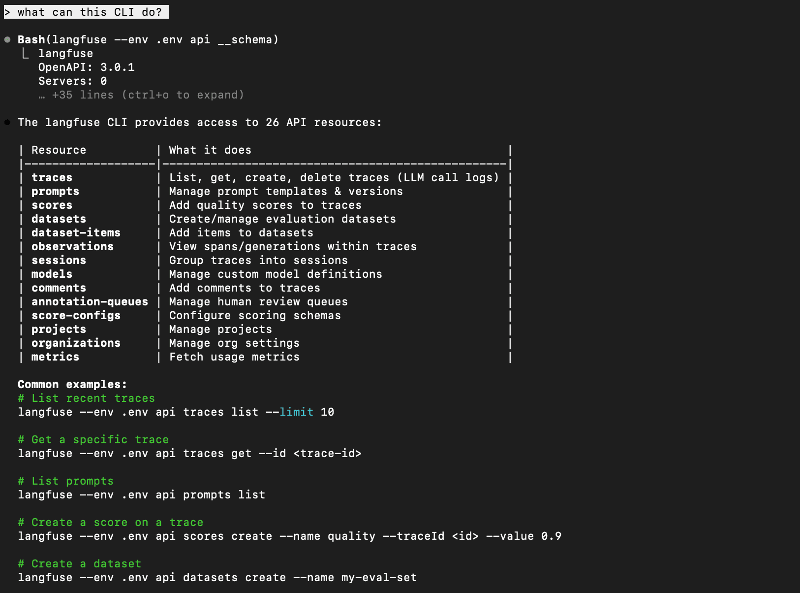 Langfuse CLI